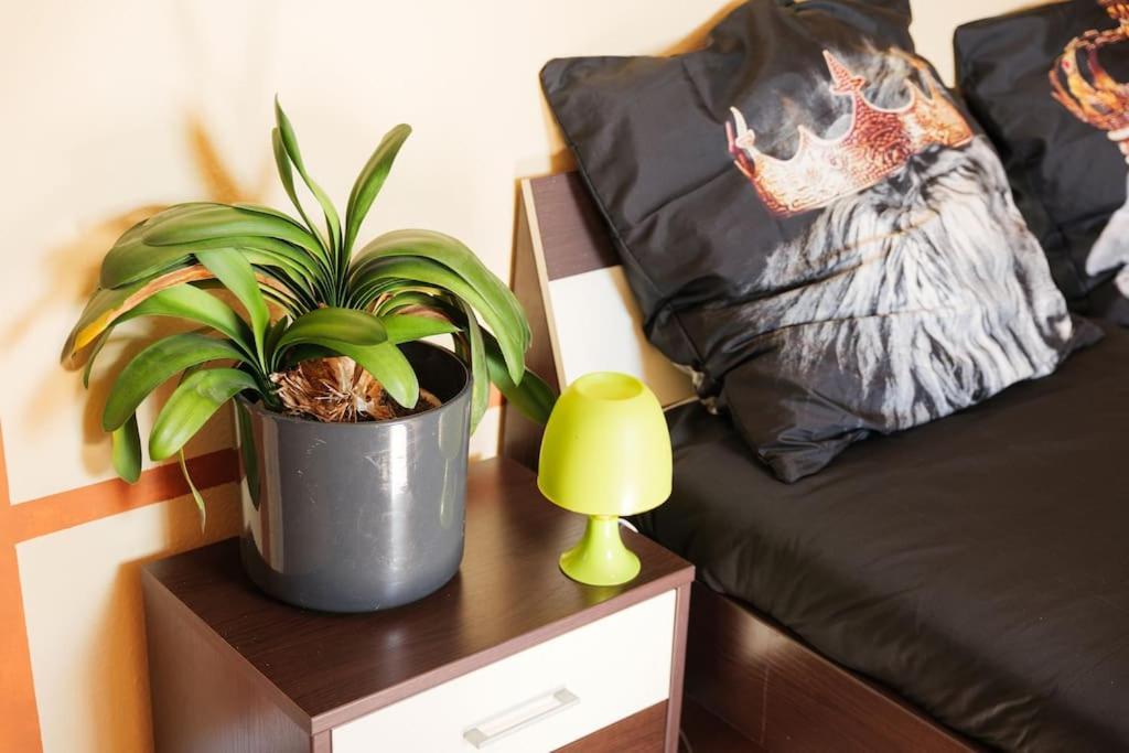 - 3-Bedroom Apartment Luxury: Central & Spacious In Duisburg & Big Tv And Kitchen - Экстерьер фото